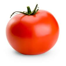 Quality Fresh Tomatoes Made in Korea